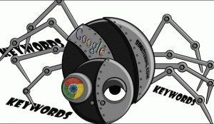 spider-Google-bot