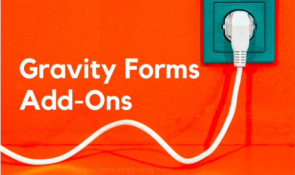 gravity-forms-add-ons